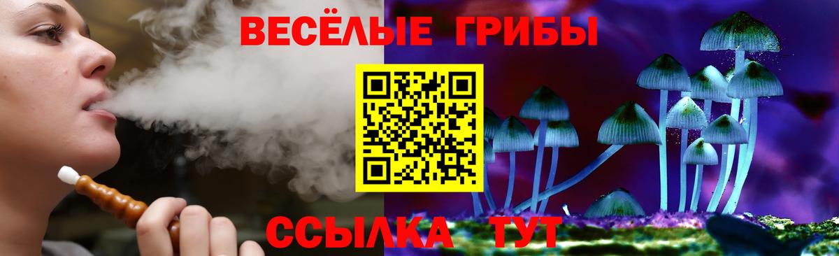 Галлюциногенные грибы Psilocybine cubensis  Вход с VPN  Галлюциногенные грибы Magic Shrooms  Каменка 